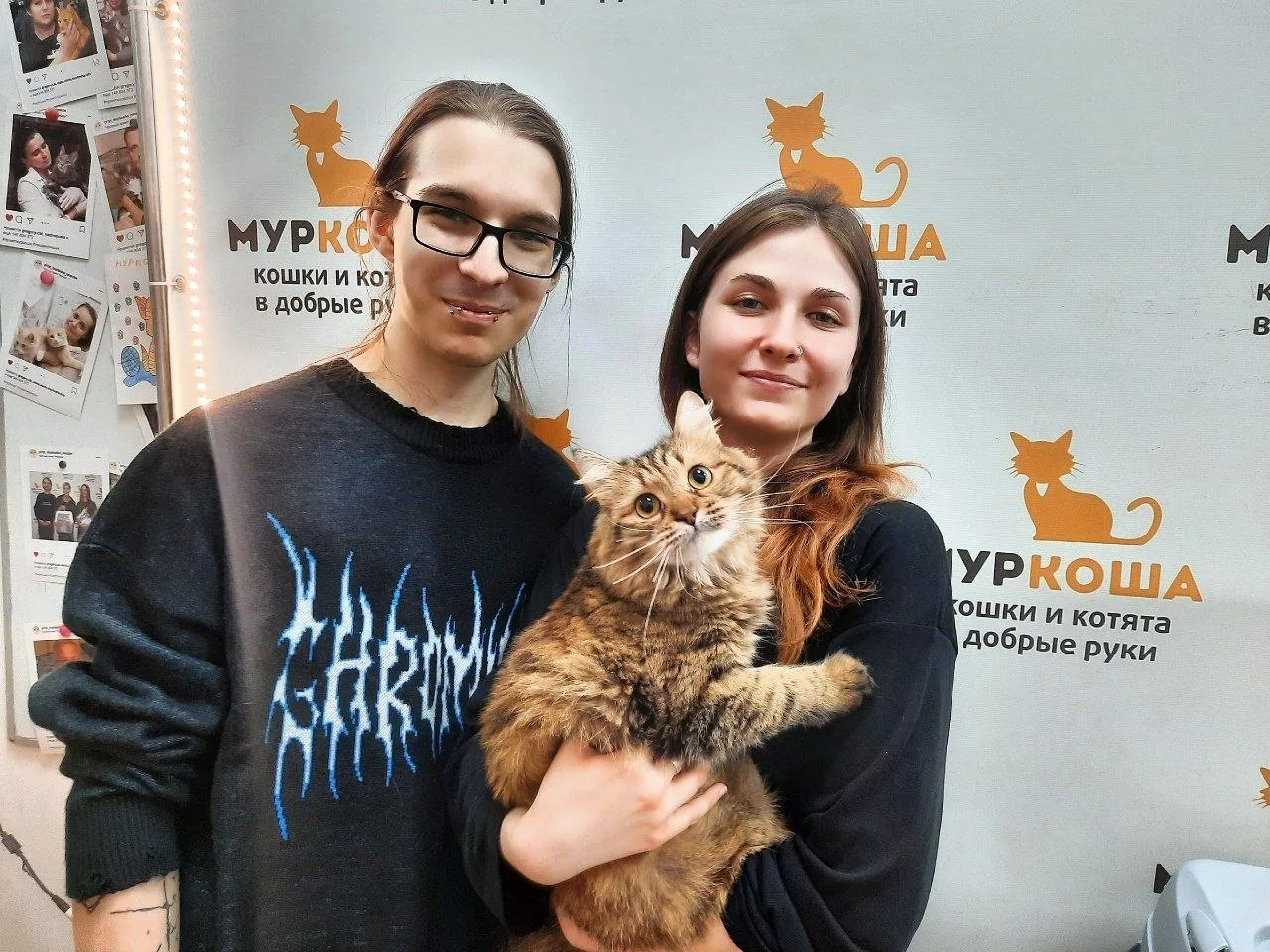 Милая говорунья Брионни становится домашней любимицей! 🎉 Будь любима и обласкана, расс...