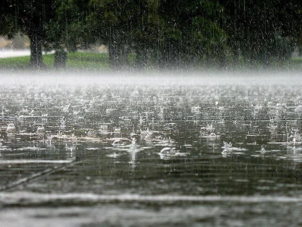 🌧️Циклон смещается на север Сахалина: на реках ожидается подъём воды до 1,5 метра