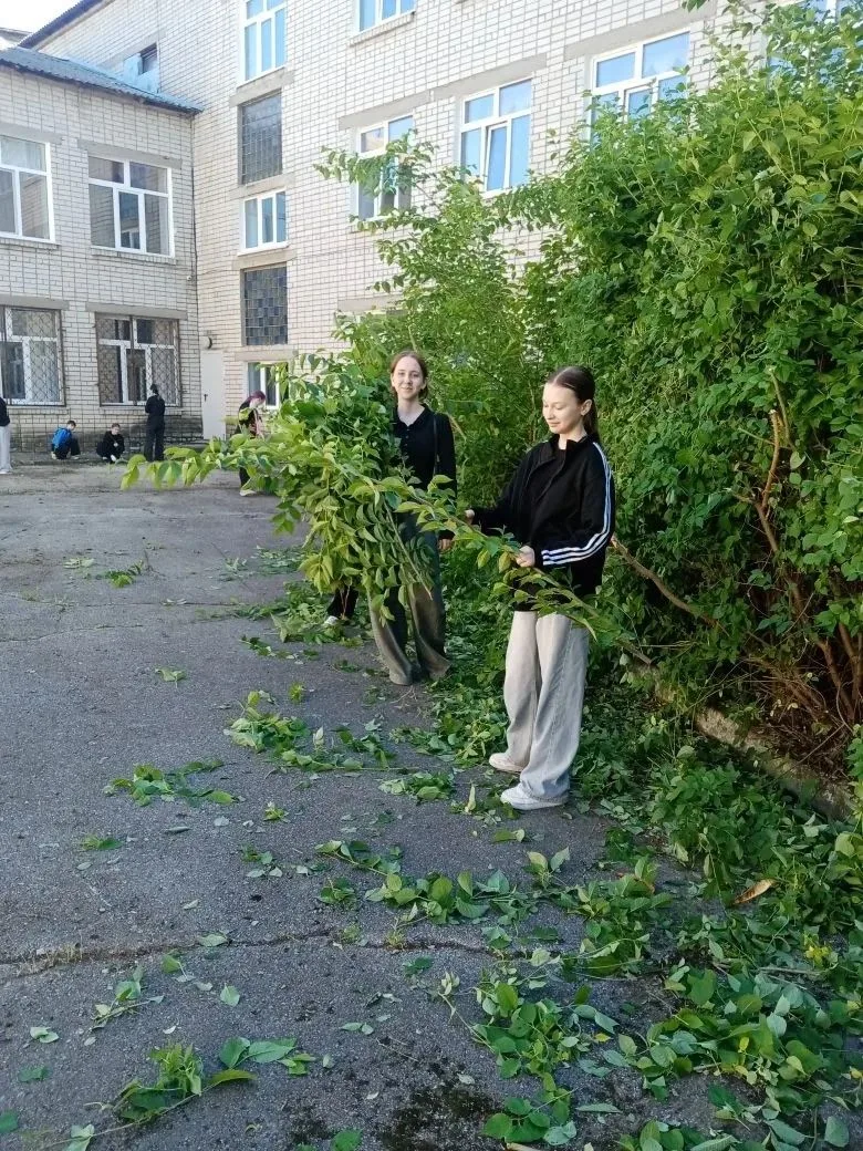 Полным ходом идут работы по благоустройству территории Октябрьского сельского лицея.   ...
