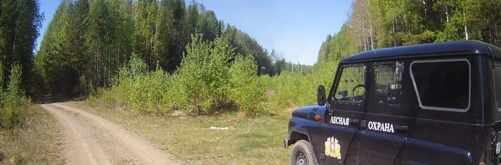 Установление маршрута патрулирования лесов и его описание осуществляются в том числе на...