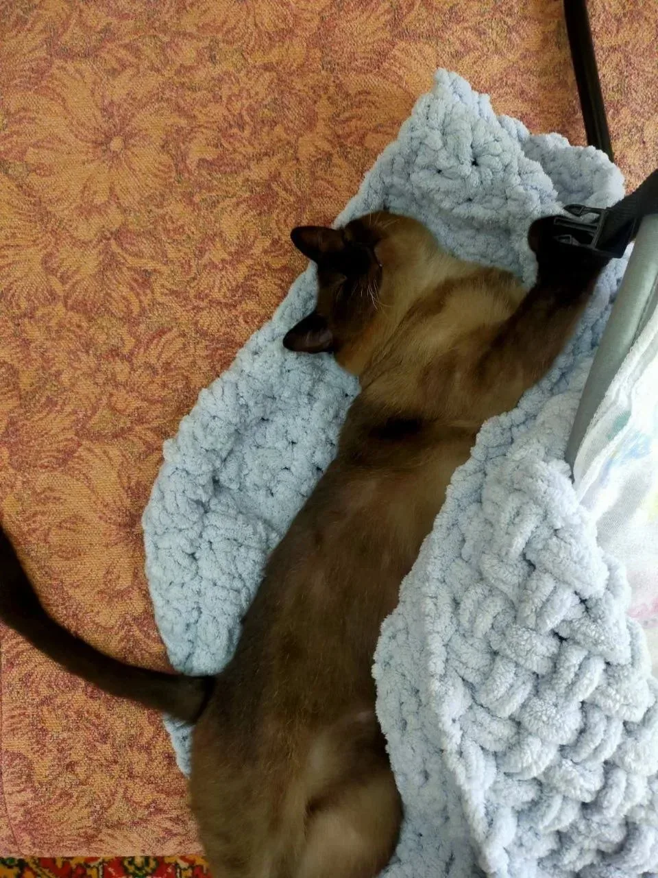 🐾 Кот-нянька и главный контролёр. Удивительная жизнь Саймона в семье! 🥰   Друзья, сегодня мы хотим п