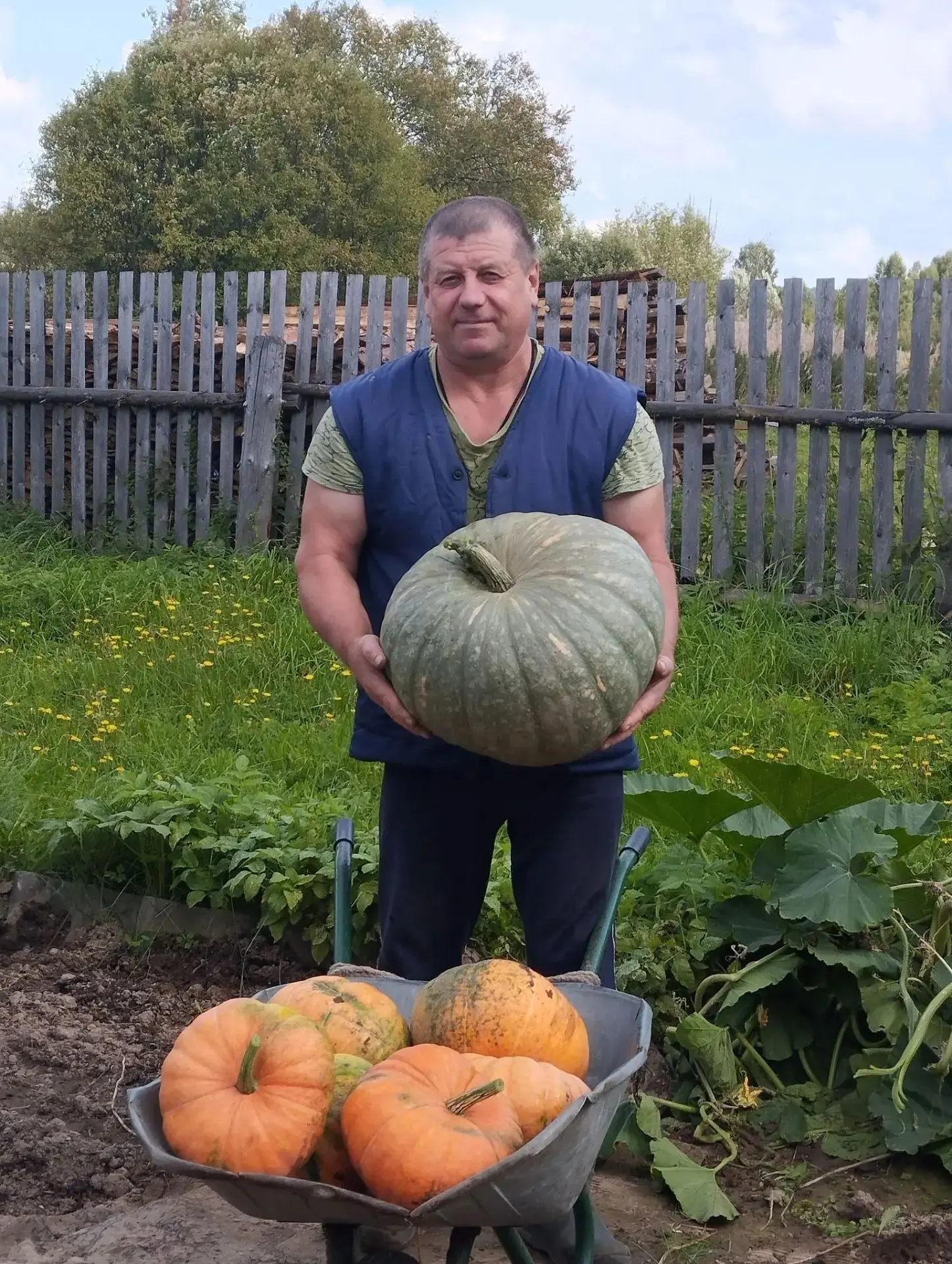 Когда тыква размером с колесо! Урожай, который удивил
