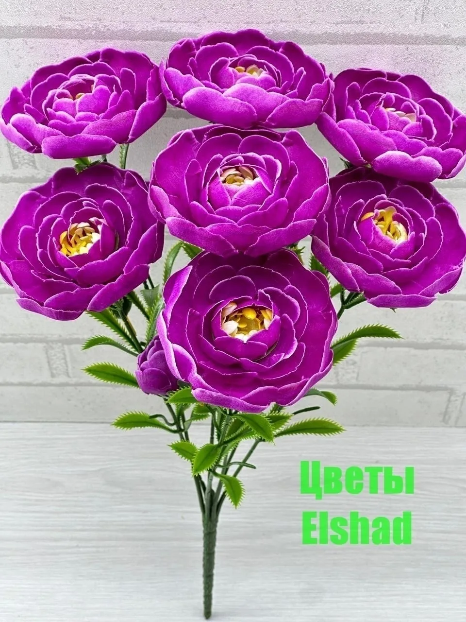 https://vk.com/photo-184814919_493410595