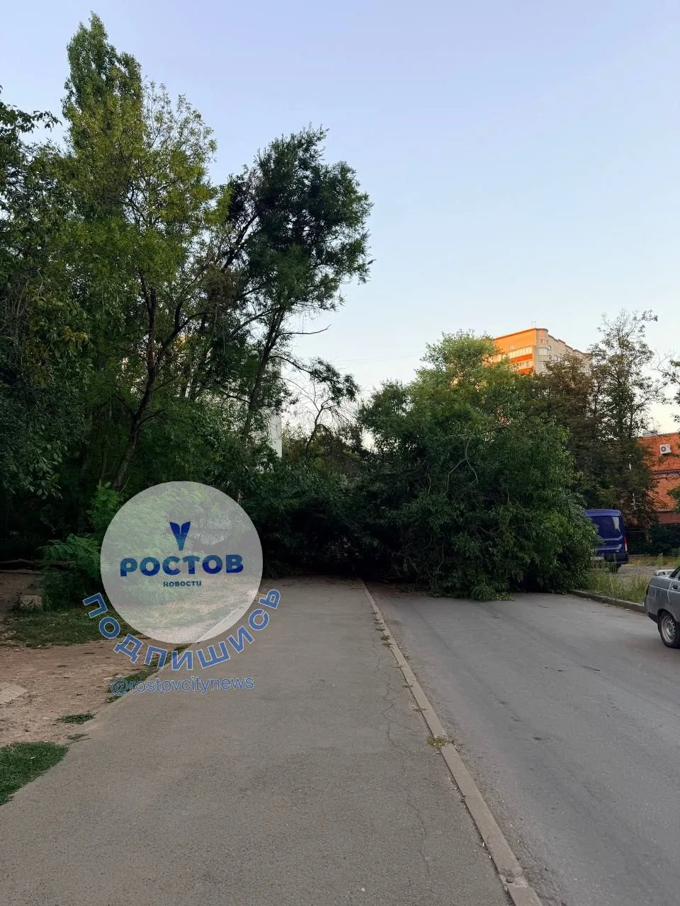 На Космонавтов, 34/1 рухнуло огромное дерево и перекрыло проезд🫣