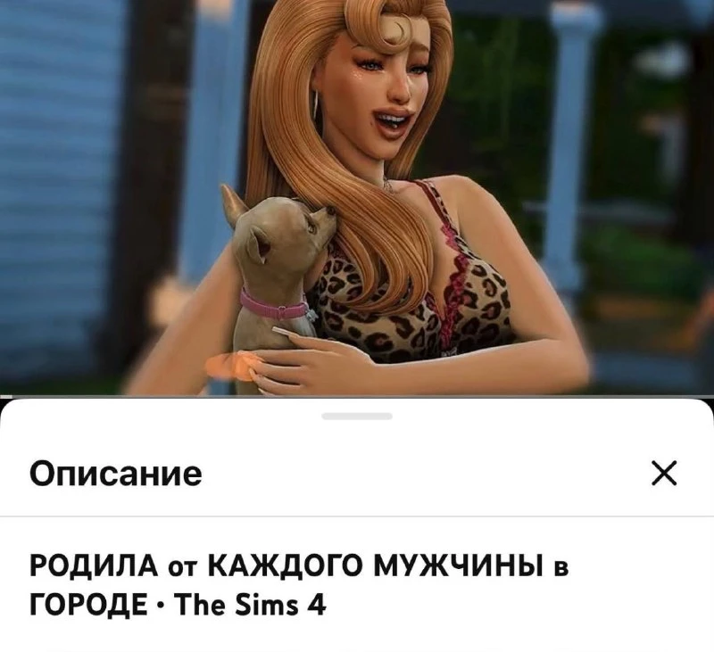 Челленджи в The Sims остаются практически неизученными: исследователи выяснили, что про...