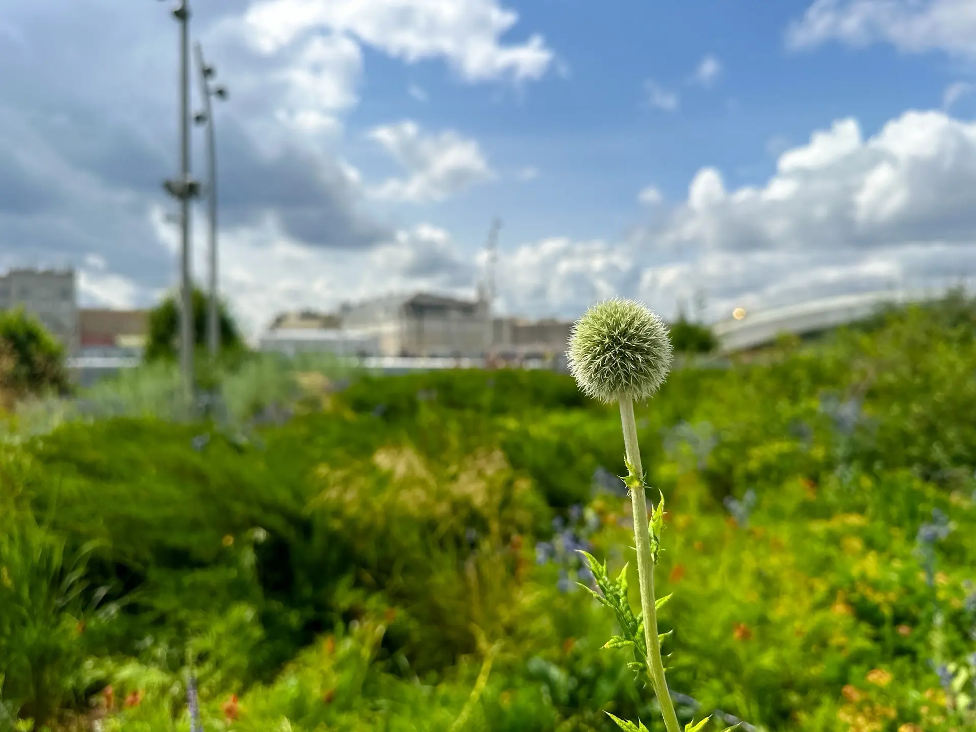 Суббота: до +27°, в основном облачно, ожидаются дожди. 

#ЗарядьеПогода