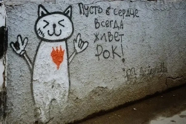 Устами кота глаголит истина😼🤘