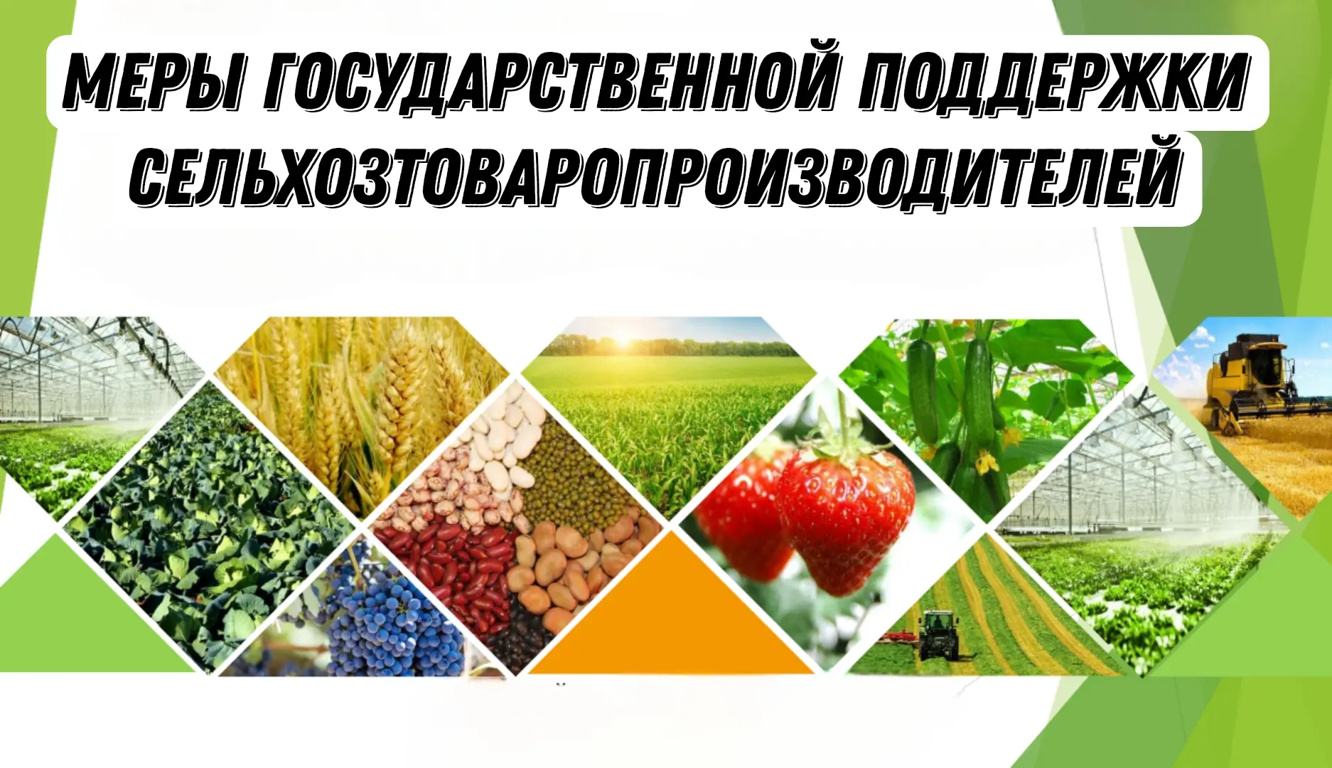 Об оказании государственной поддержки сельскохозяйственным товаропроизводителям