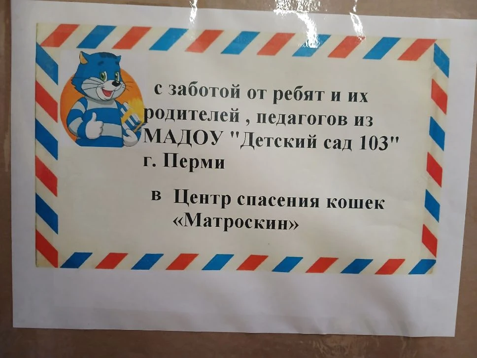 🐾 Добрые сердца наших маленьких помощников! 🐾