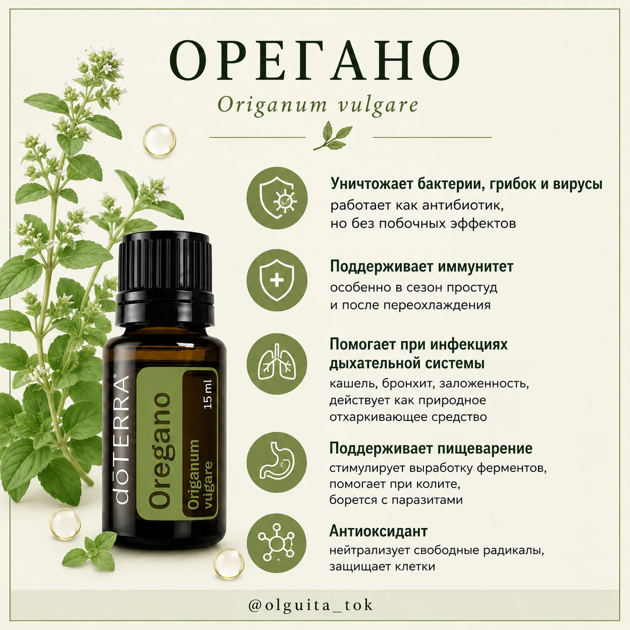 Орегано (душица) — природный антибиотик, который нужно уважать 🌿⚡️