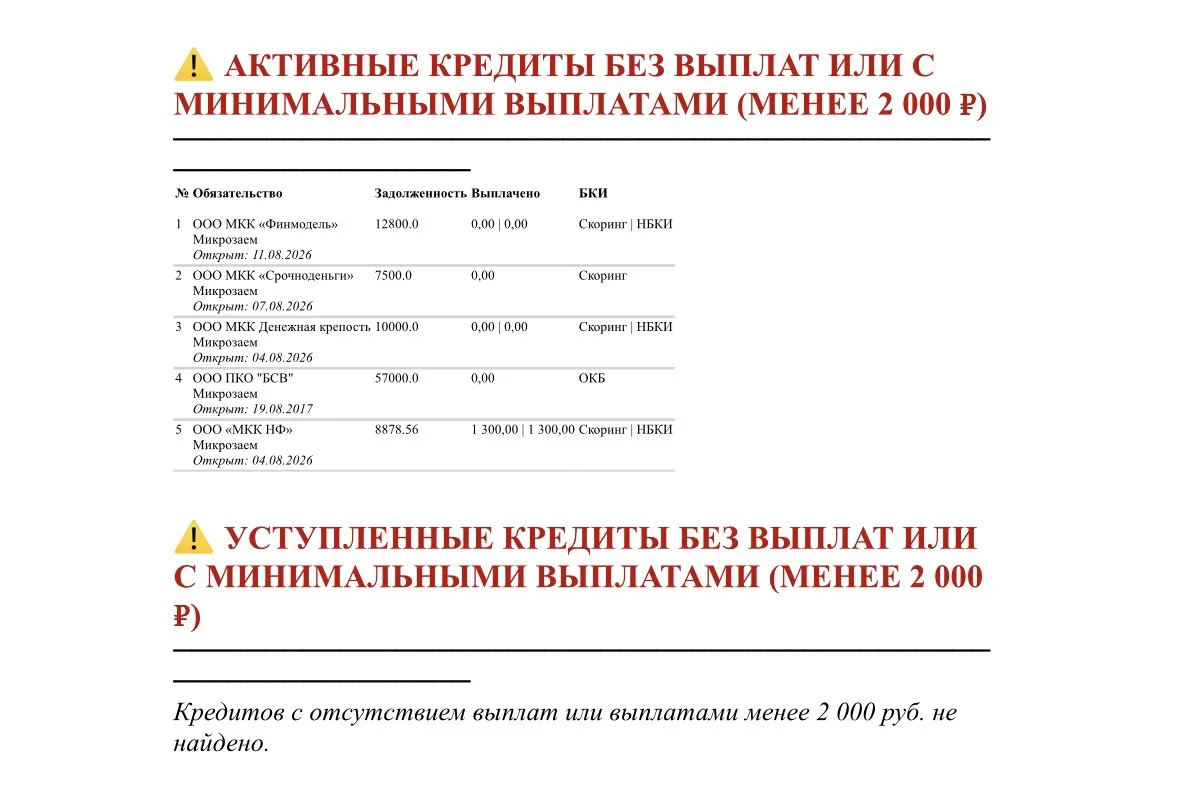 📌 Scanify БФЛ: подсвечиваем риски несписания долгов