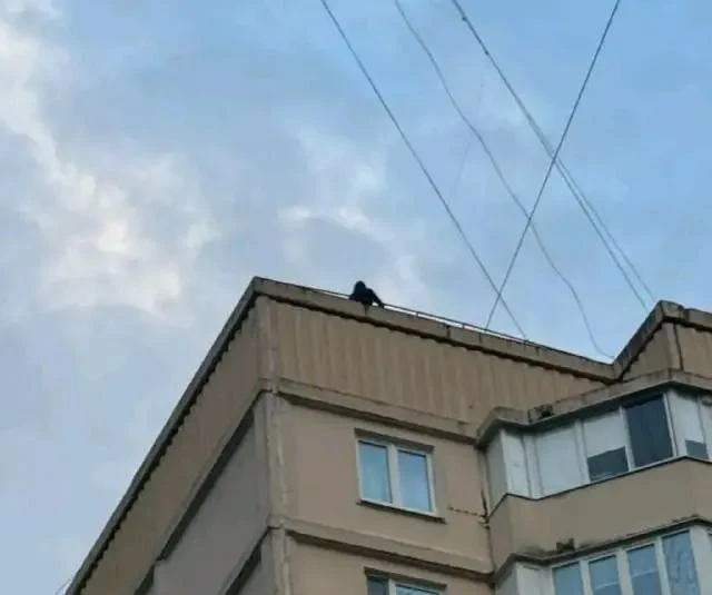 ❗️ Ребёнка заметили на крыше дома на Борисовских Прудах