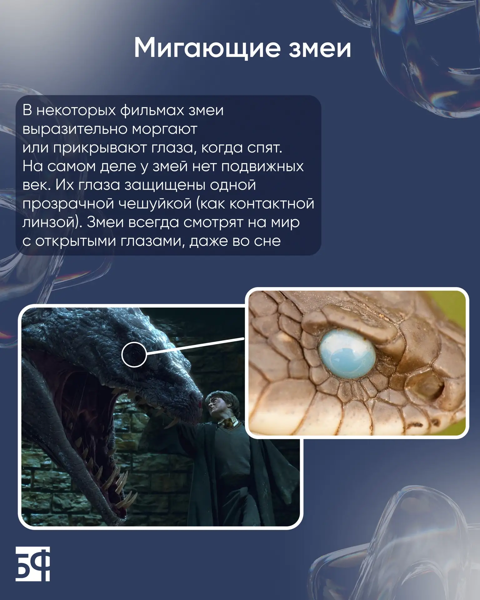 🎬 Биология не по сценарию