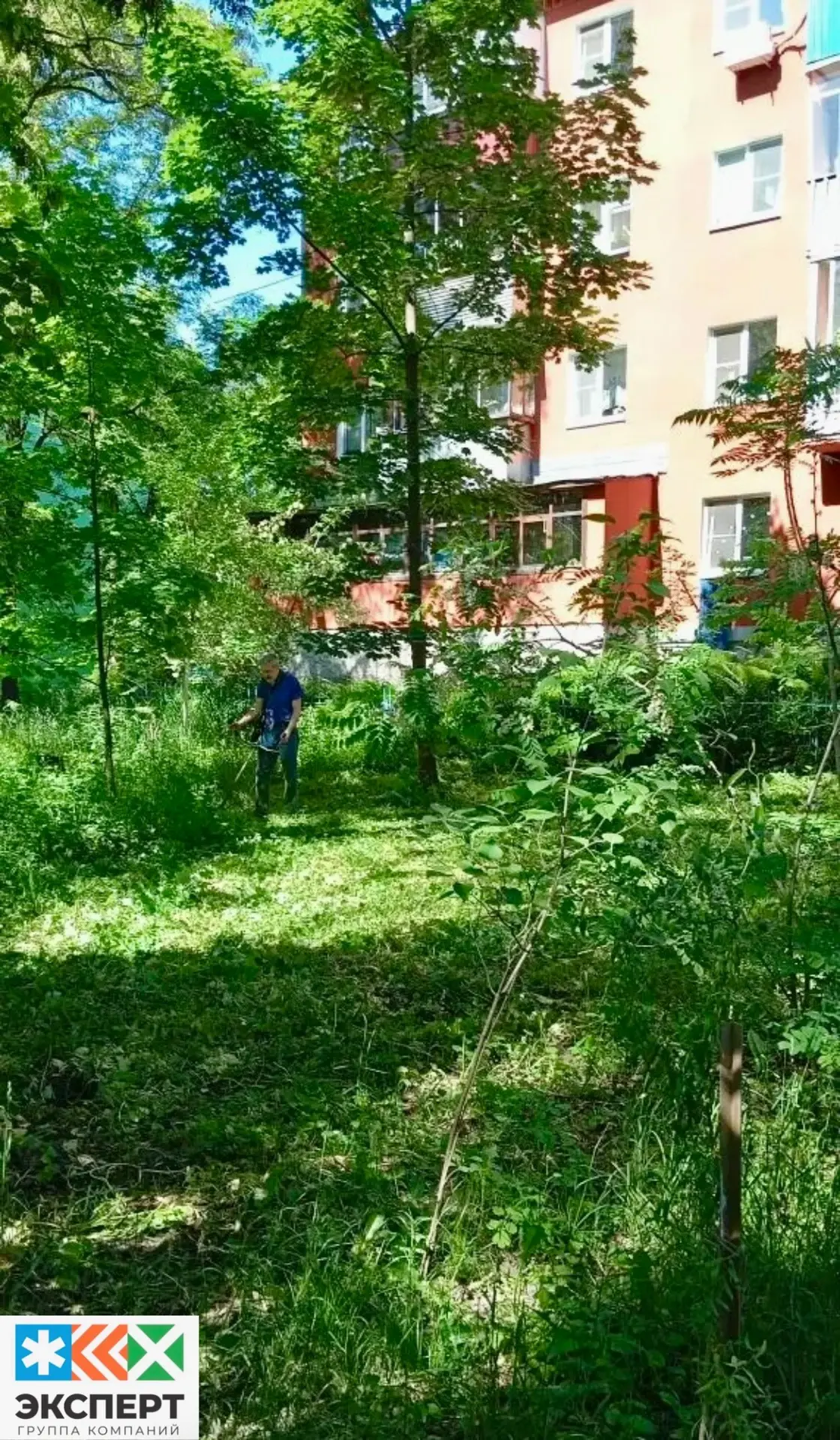 ООО УК «Партнёр» произвела покос сорной растительности, по адресу: