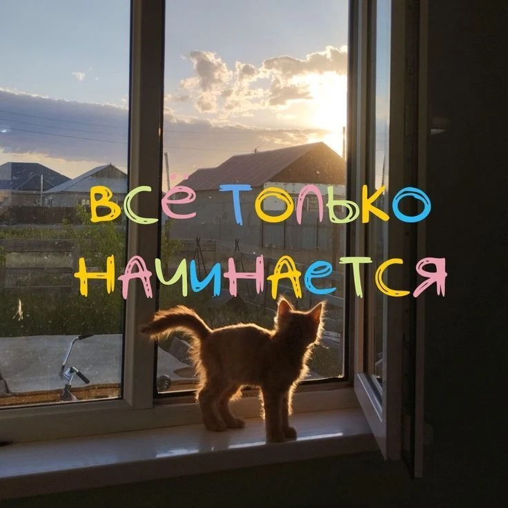 🫂❤️‍🩹 ' Ты знаешь, кому это отправить