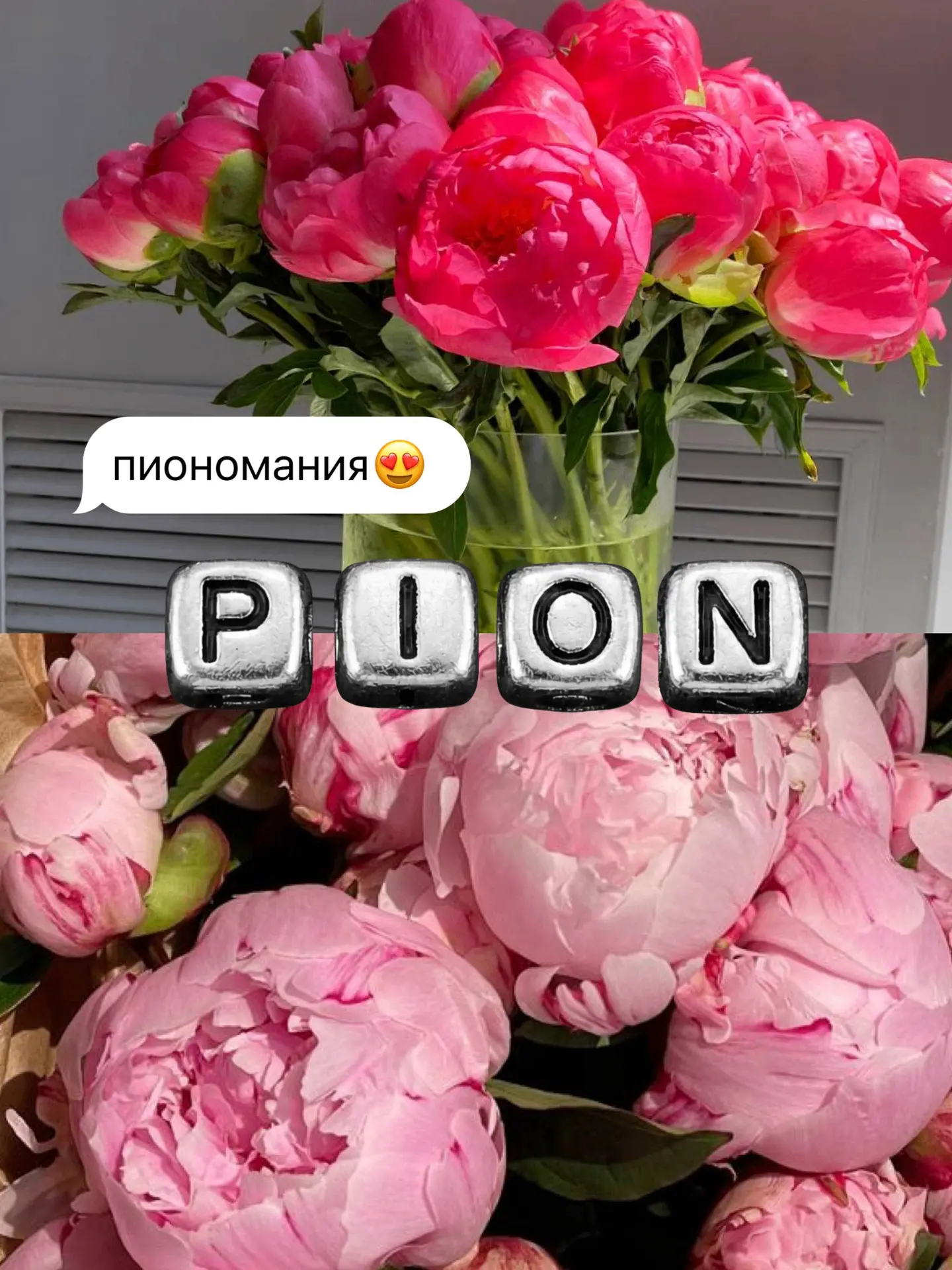 Сезон пионов в самом разгаре🍧11 пионов - 7.360₽