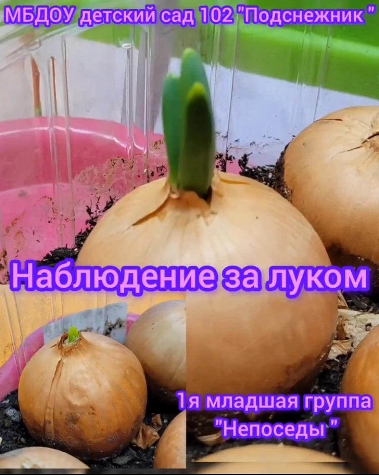 https://vk.ru/wall-217082636_4814