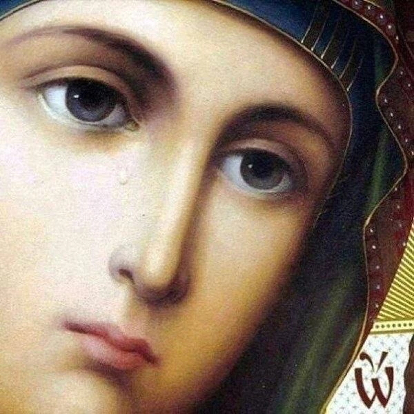 Матерь Божия никогда не огорчалась. Она терпела очень большие скорби, но безропотно и с...
