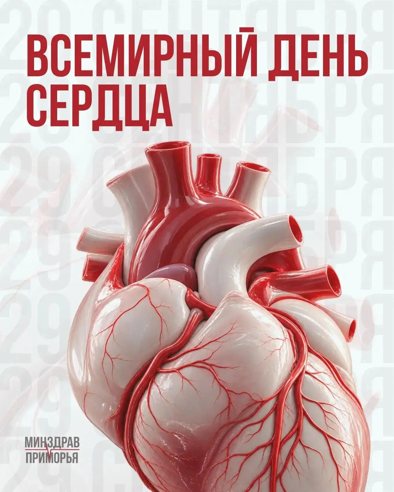🫀 29 сентября — Всемирный день сердца