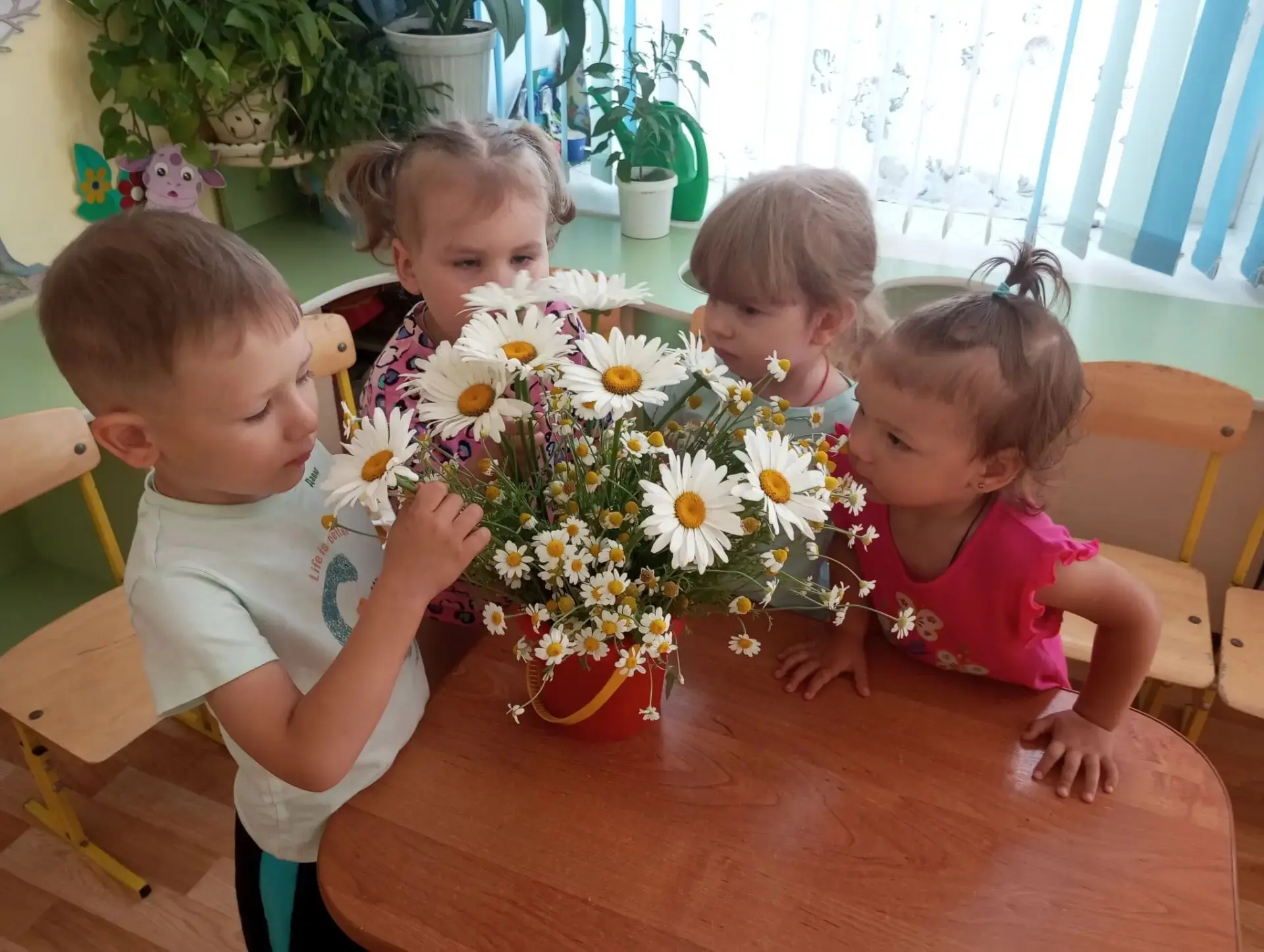 День Ромашки в нашем саду!

«Я ромашку на лугу отыскать всегда смогу...» — знакомая песенка? Сегодня