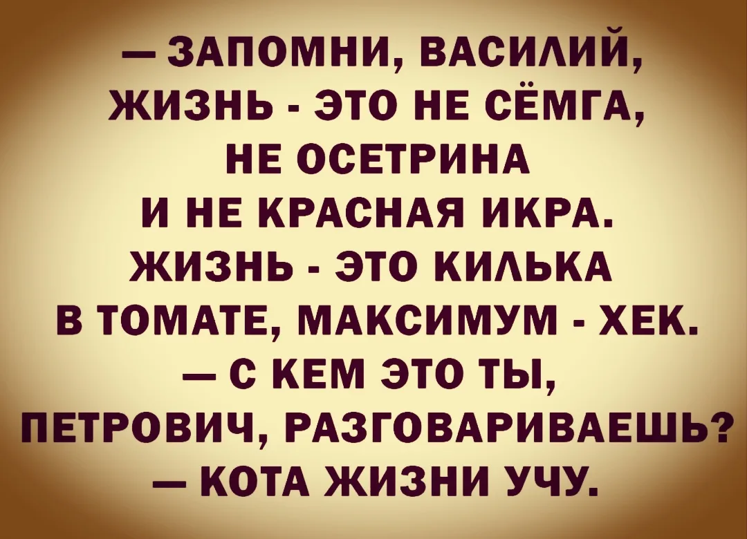 Это должен знать каждый кот... 🤣😂🤣