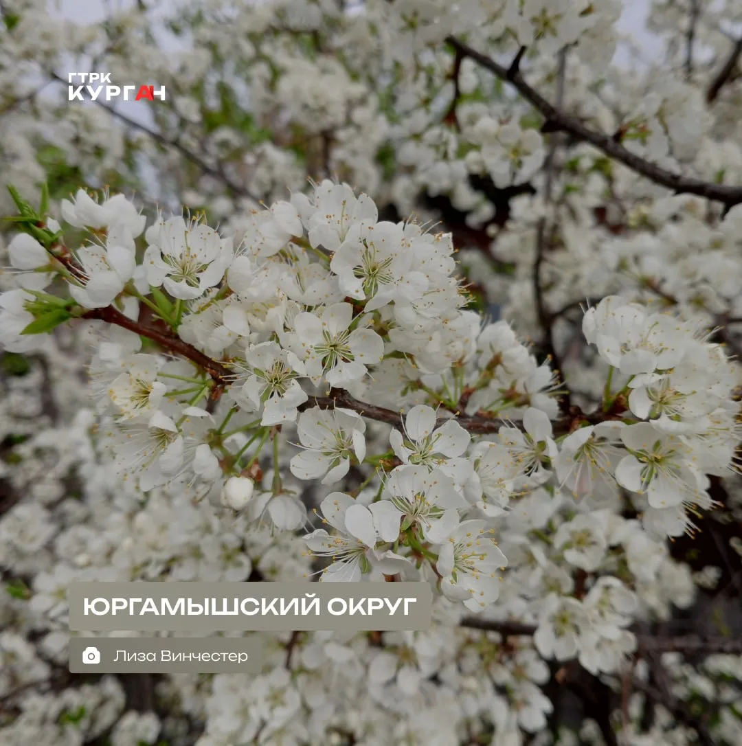 🌤 Доброе утро, зауральцы!

Сегодня в Кургане весь день будет идти дождь. Днём столбик термометра по
