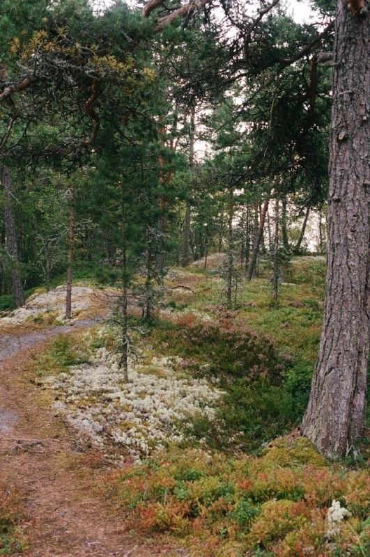 Ладожские шхеры