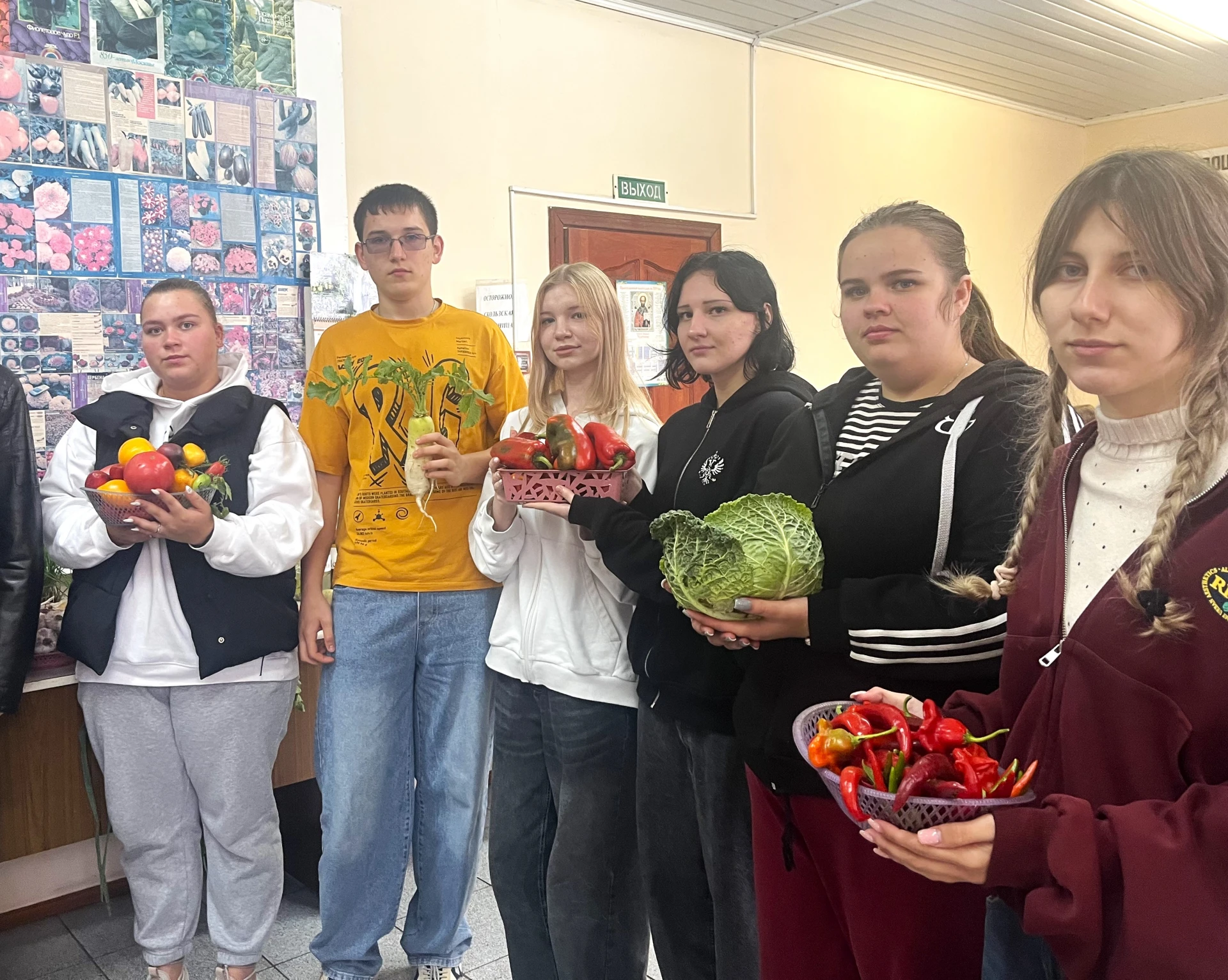 🥕 От теории к практике