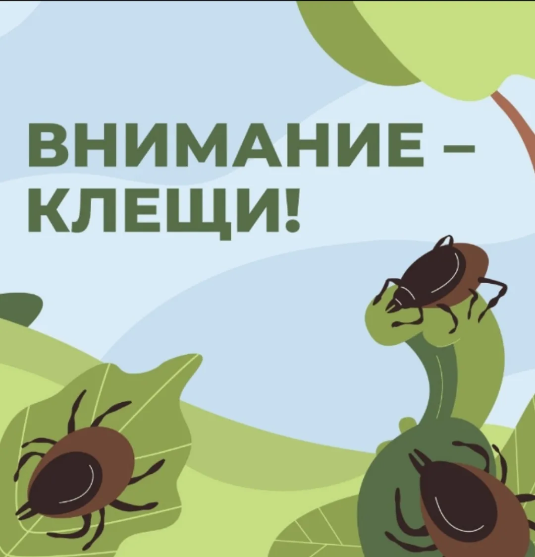 ⚠️ ВНИМАНИЕ, КЛЕЩИ! 🌿