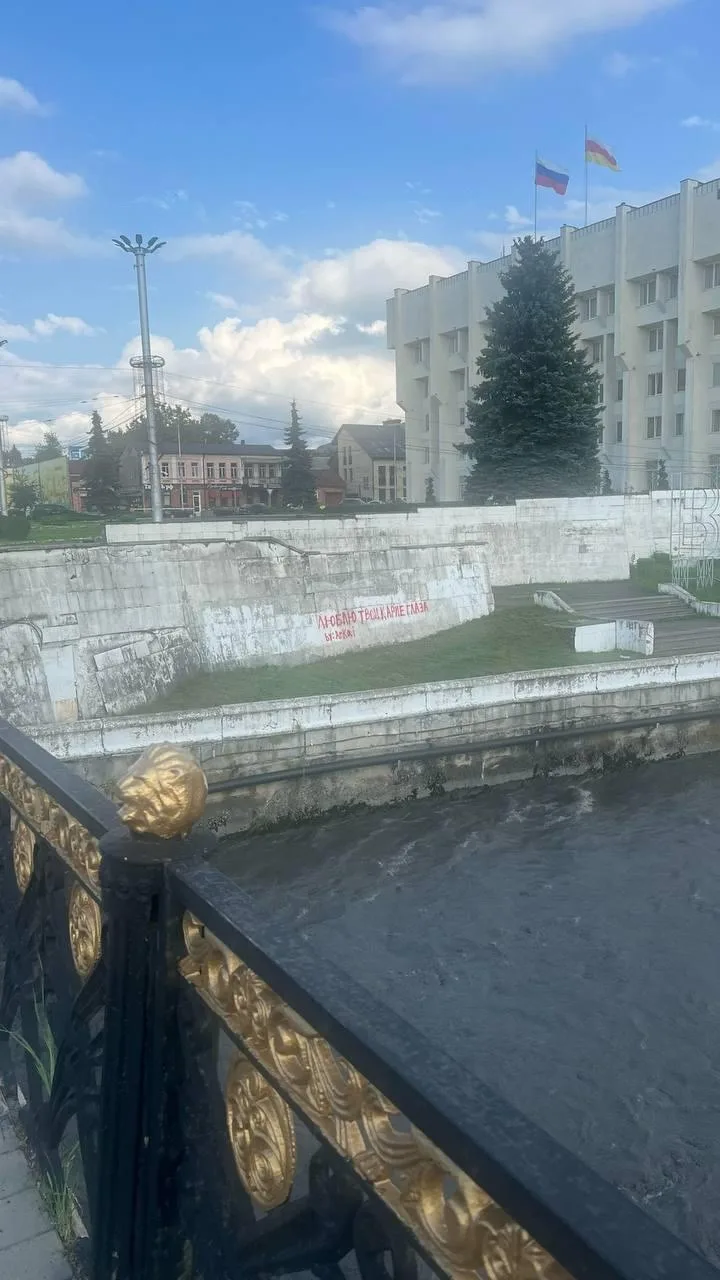 🔔 На подпорной стене у Чугунного моста во Владикавказе закрасили очередное признание в...