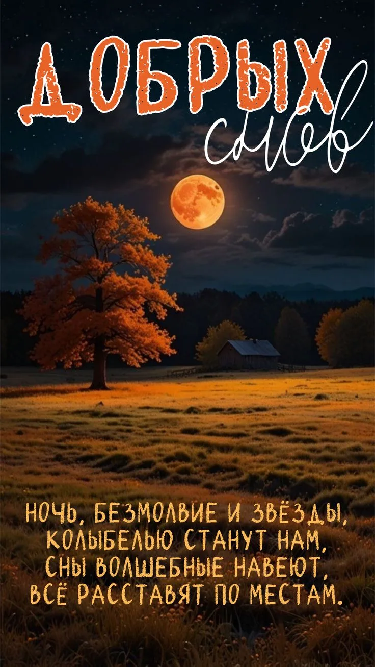 Пусть сны будут светлыми и радостными🩷. Спокойной ночи🌛🙏🏼!