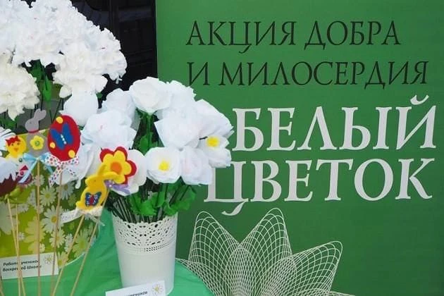 БЛАГОТВОРИТЕЛЬНАЯ АКЦИЯ "«БЕЛЫЙ ЦВЕТОК» стартовала в нашей школе!