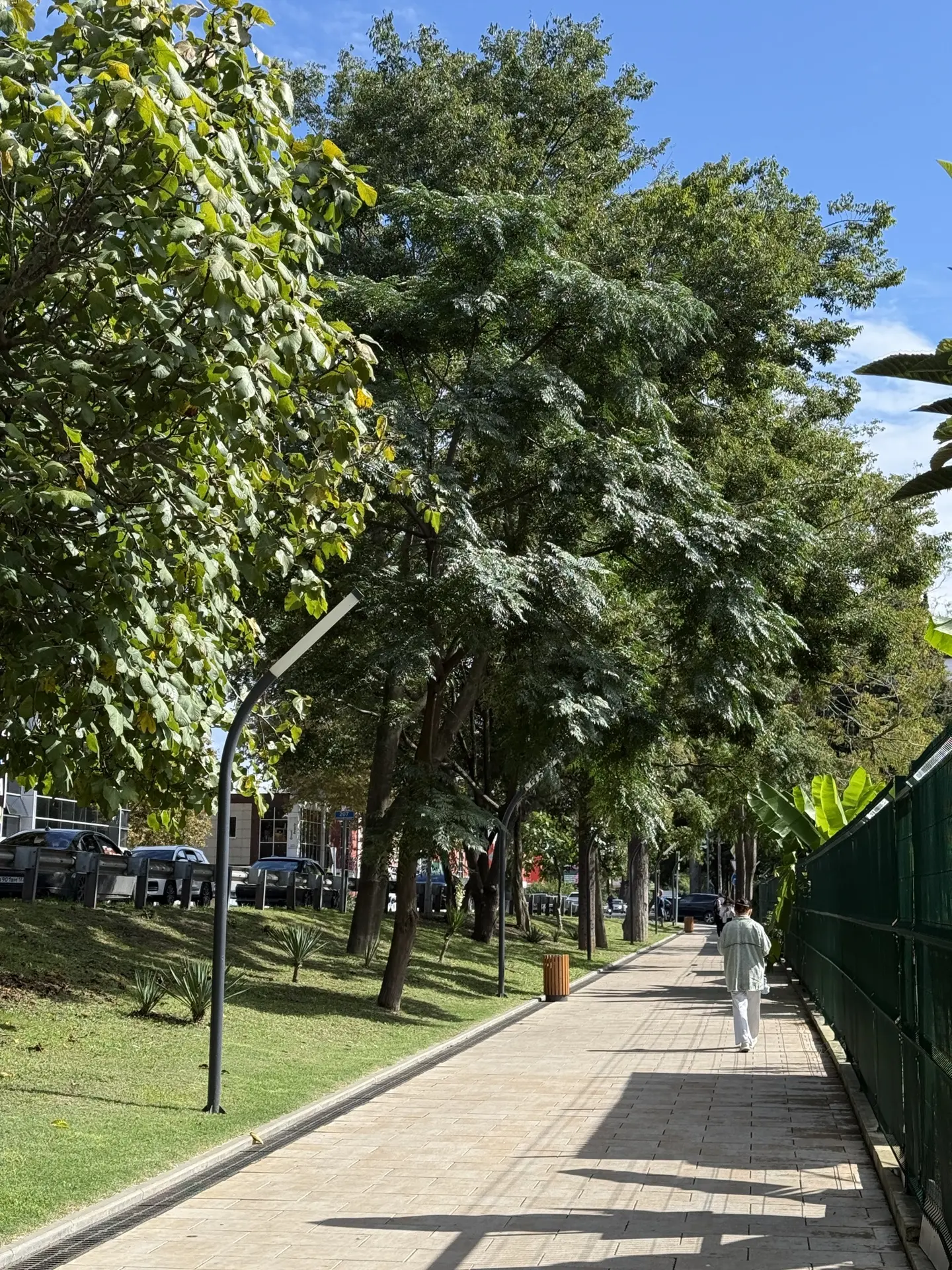 В выходные в Сириусе потеплеет до 20 градусов ☀️