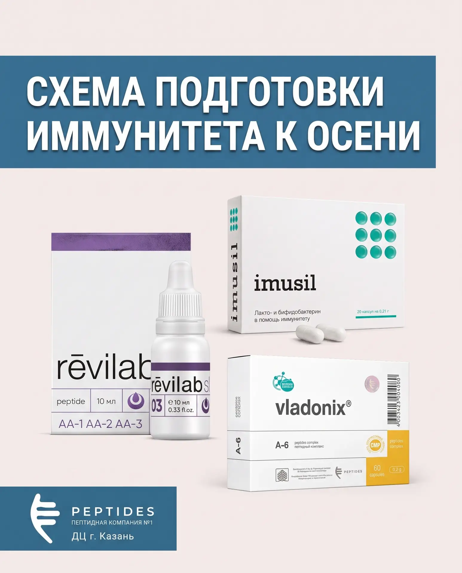 🛡 Схема подготовки иммунитета к осени