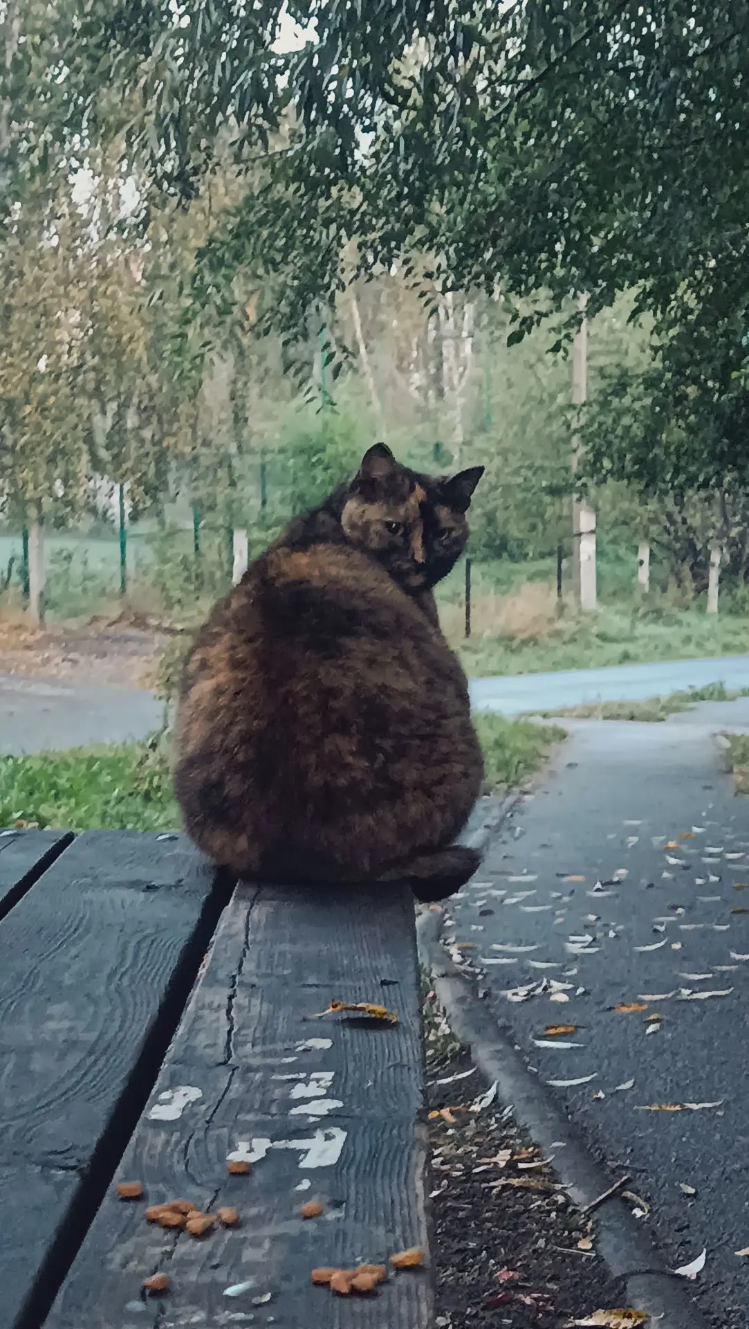 Доброе утро, друзья.