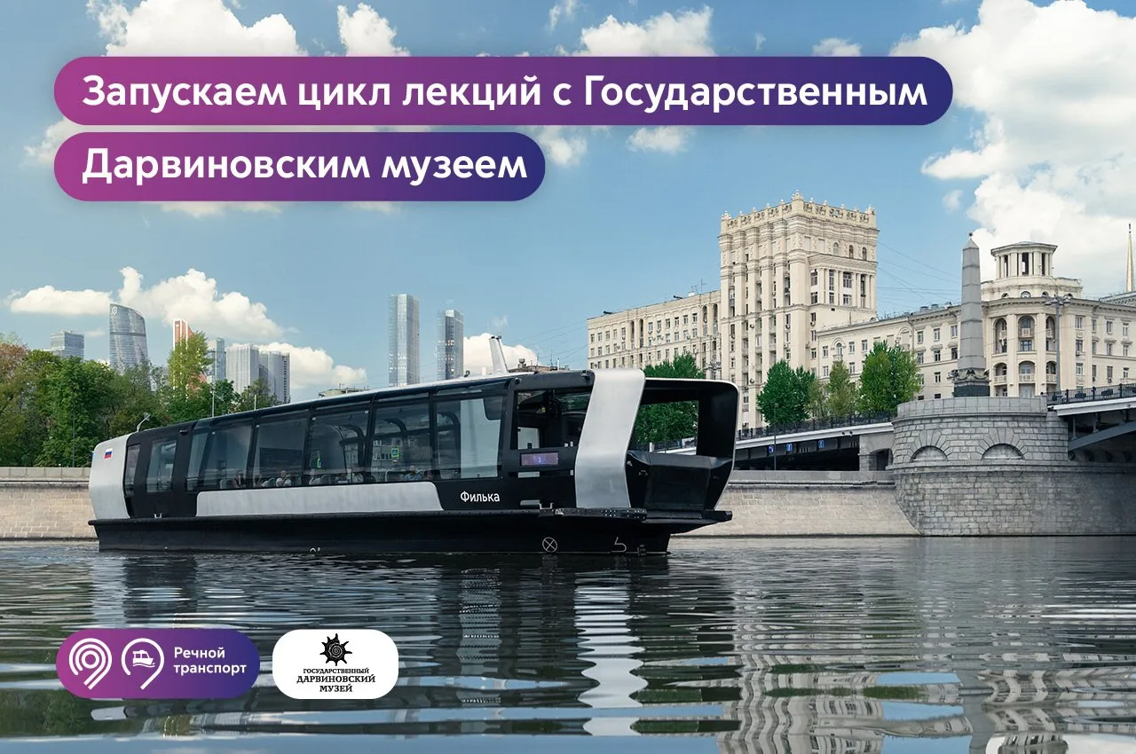 🌳 Какие закономерности и открытия мы позаимствовали у природы?
