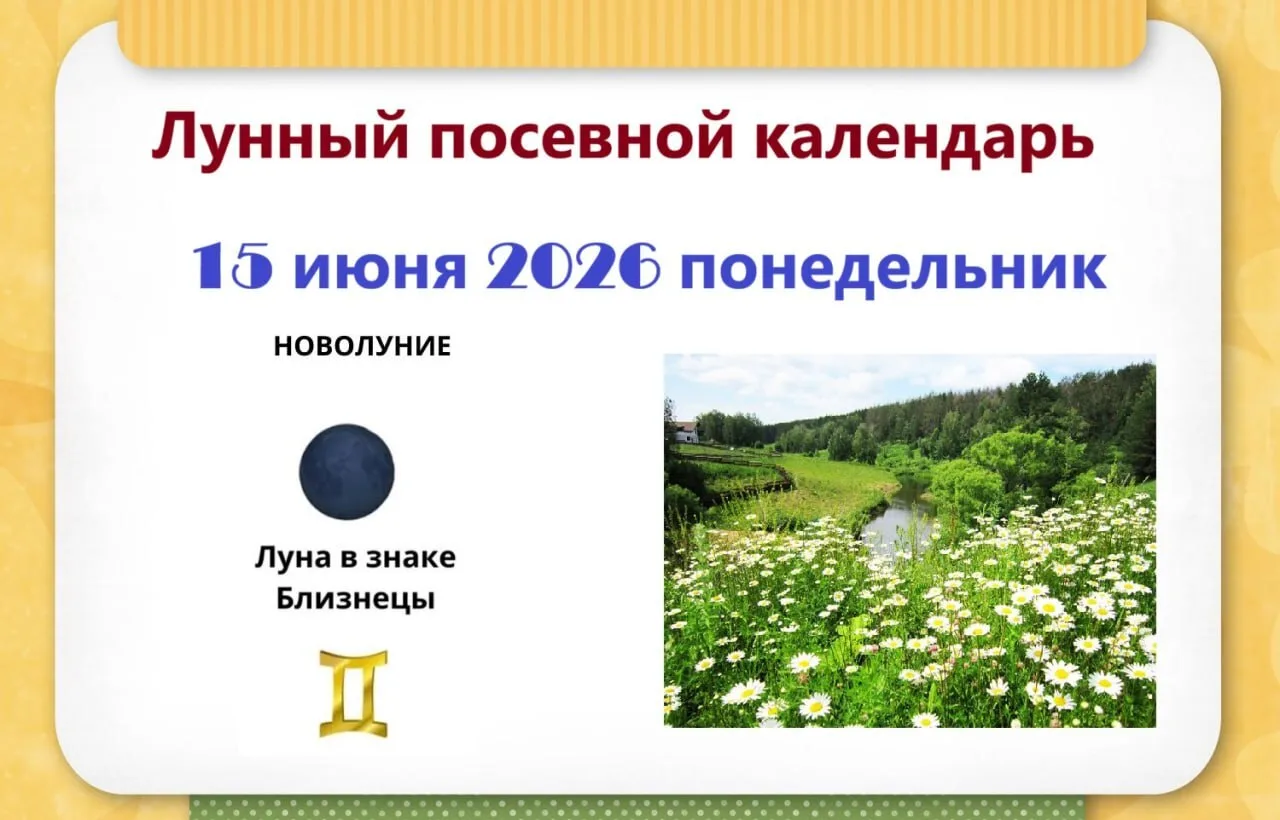 1️⃣5️⃣ июня, понедельник
🌑 Новолуние в Близнецах♊️

Близнецы – малоплодородный знак. Растения, посе