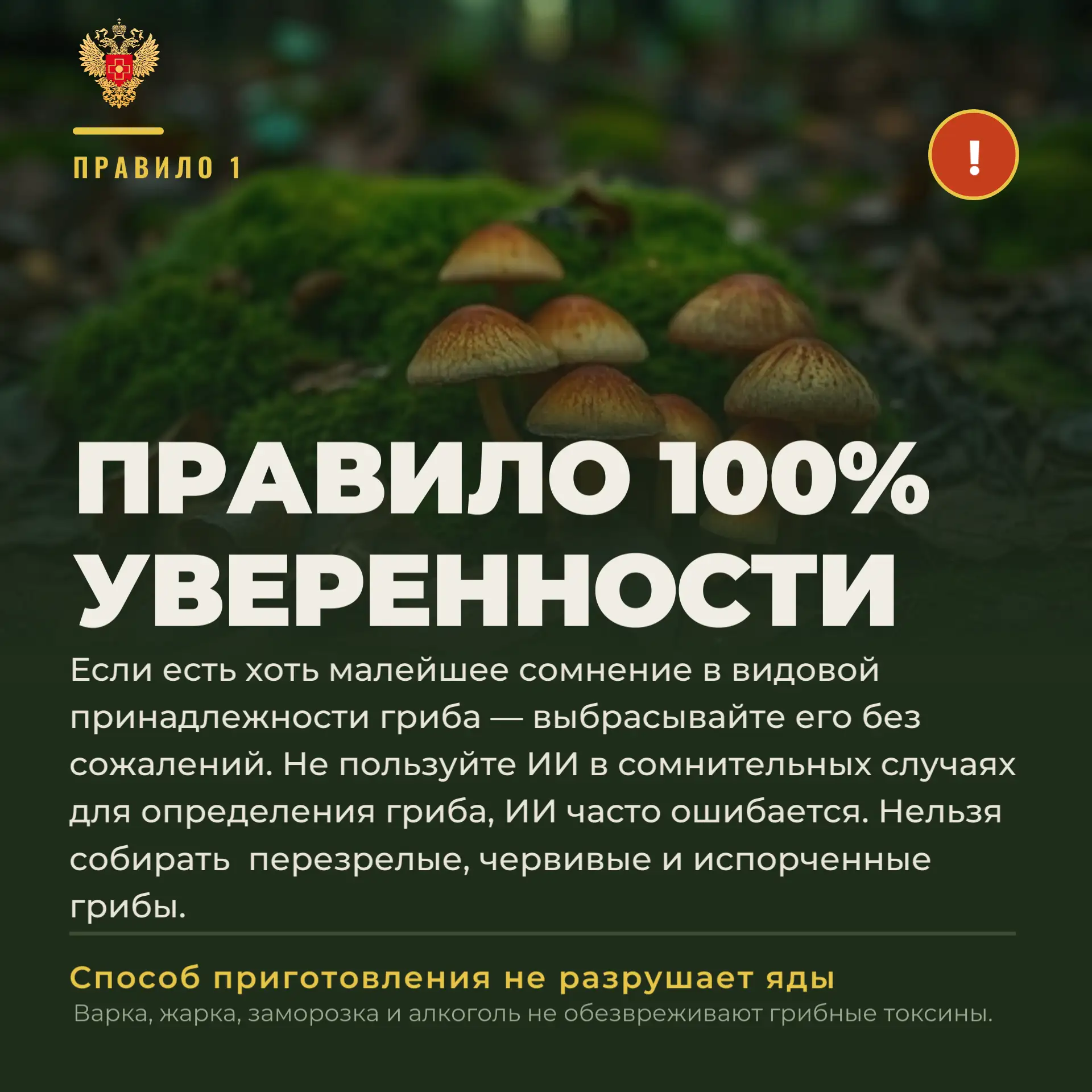 ❗️Невидимая угроза «тихой охоты»
