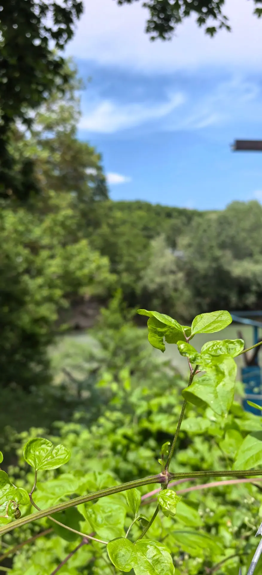 Доброе утро, любимый Горячий Ключ! ☀️