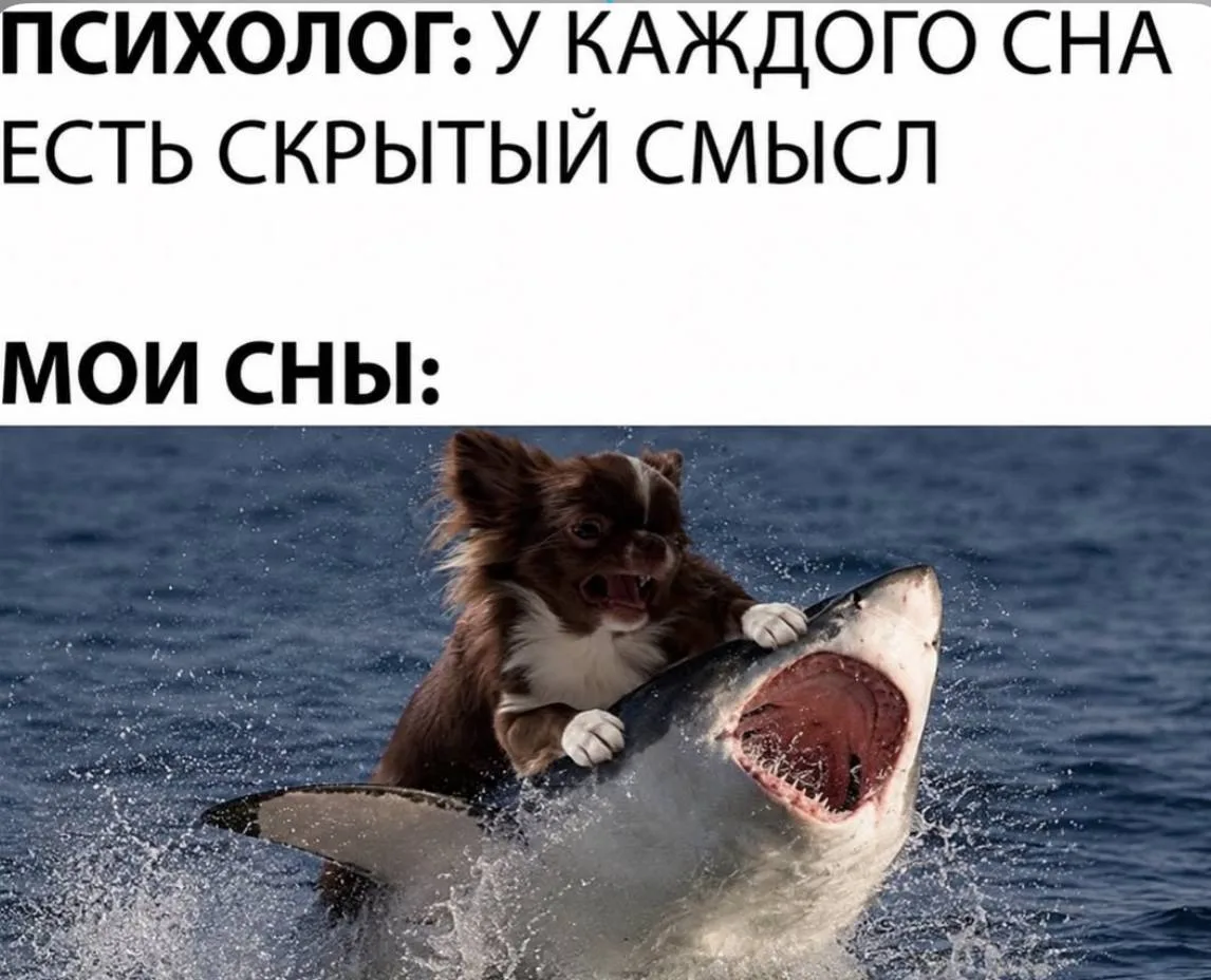 Мем дня