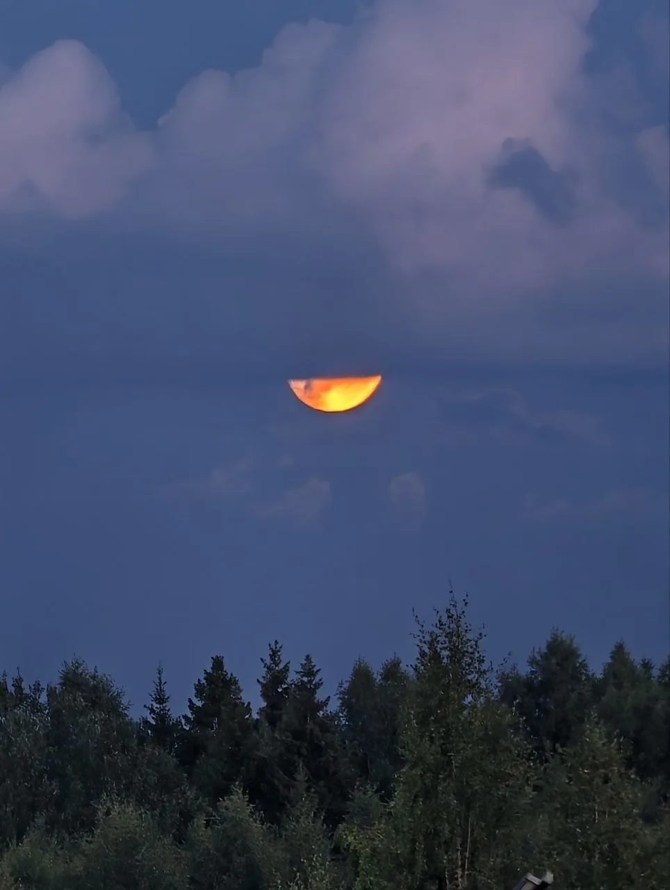 Над Мытищами заметили "оленью луну"🌕

В середине лета у самцов оленей как раз начинается активный р
