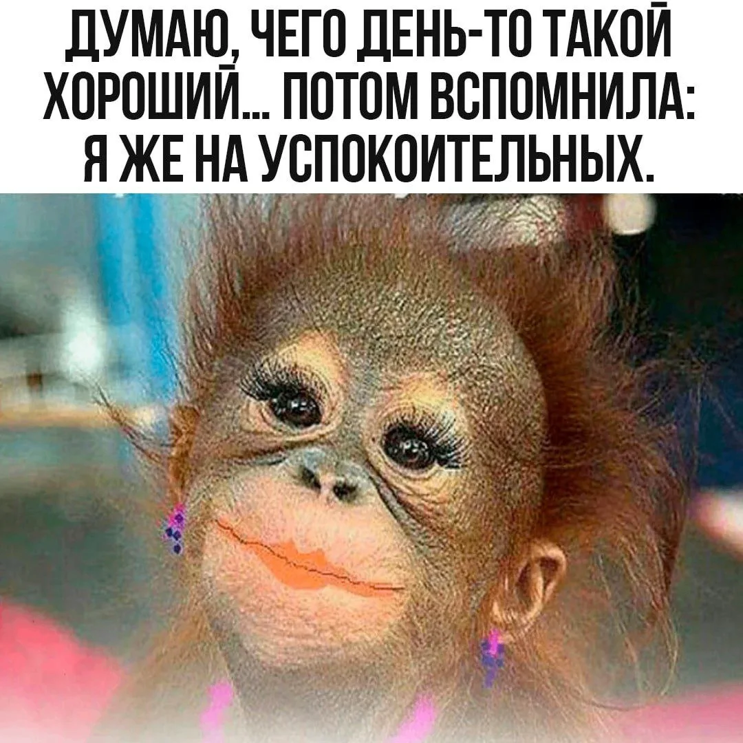 #Юмор

Красивые открытки❤️