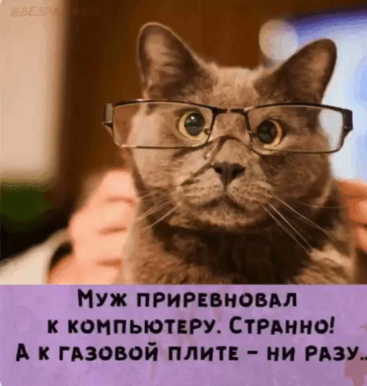 К ней бы тоже начал🤣