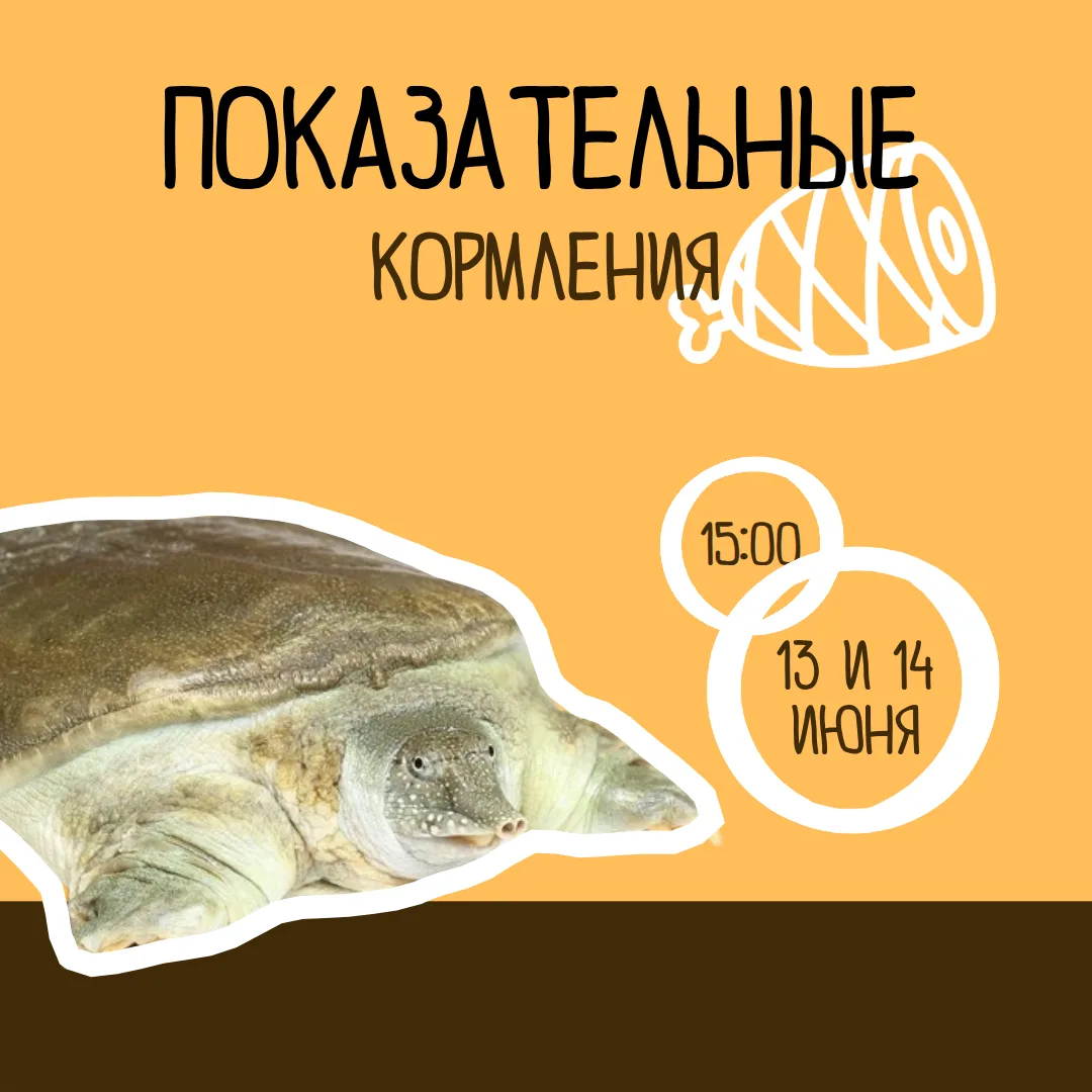 ☀🍴 Мы знаем, о чём вы думаете. «Длинные выходные, хорошая погода — время рвануть на природу». Отлич