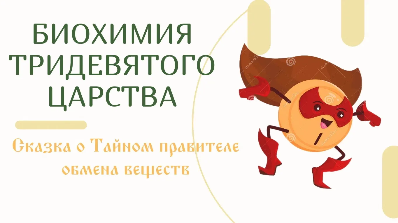 Сегодня расскажу об одном ещё важном герое, который нам жизненно необходим🔥