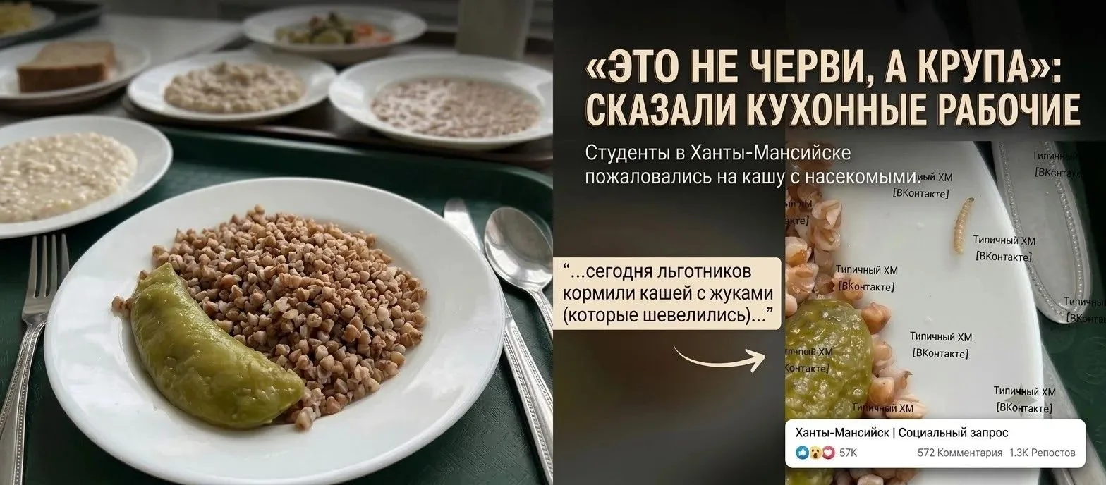 Что делать, если еда в столовой вызывает сомнения, а не аппетит?