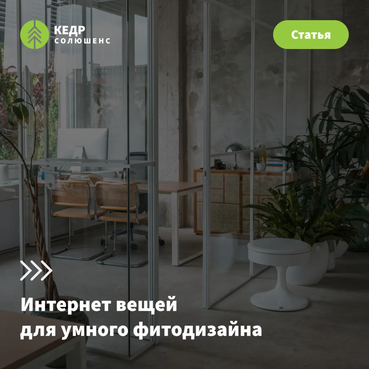 🌿 Как перестать убивать растения в офисе! И заодно сэкономить 100+ часов на разработке.