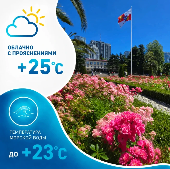 Доброе утро, сочинцы и гости курорта!

Прогноз погоды на курорте на сегодня:

☀️☀️☀️

🌥 облачно с п