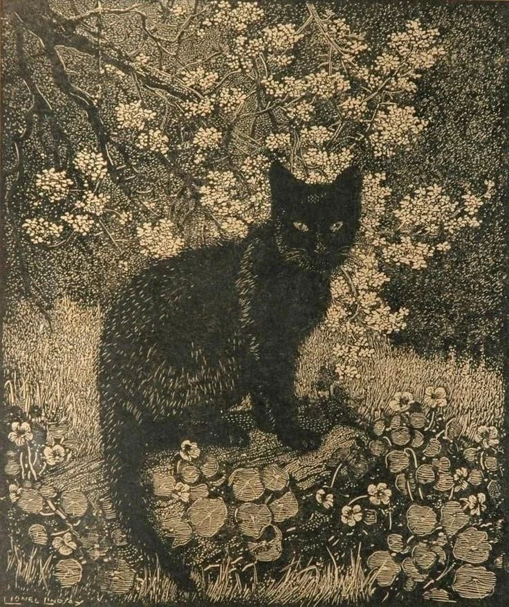 «Ведьма», 1924.