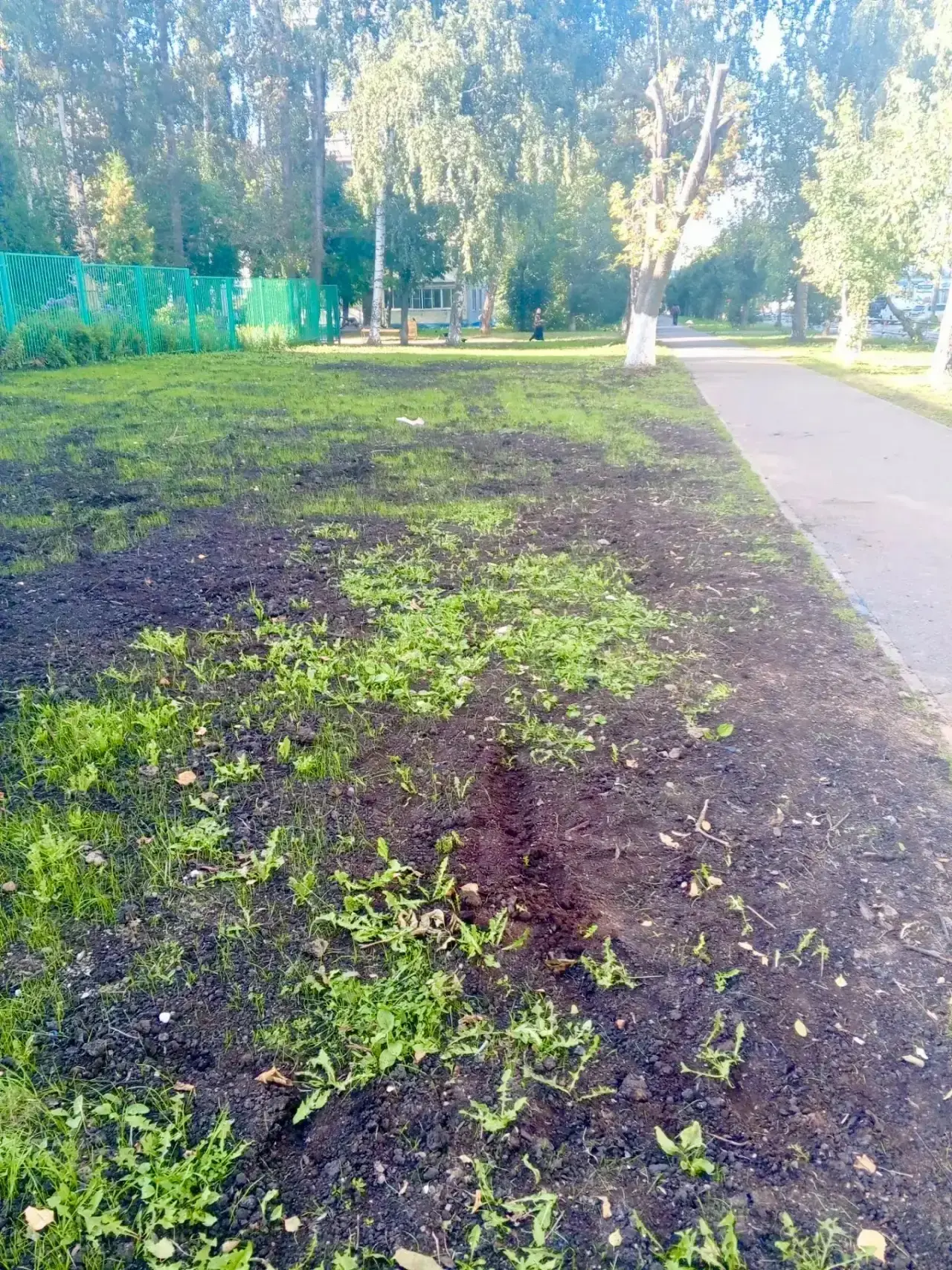 🌿 Делаем город уютнее